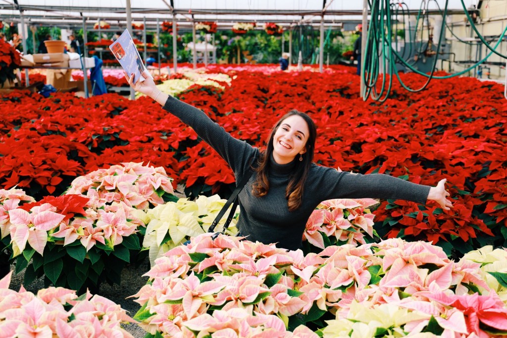 The First Playlist of&nbsp;2019